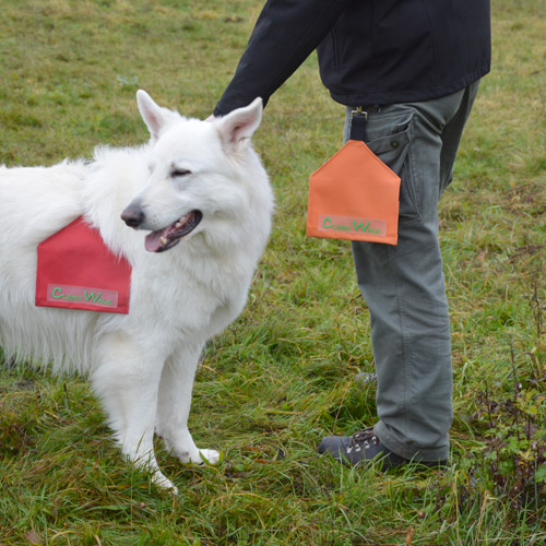 Hundekotbeutel in CleanWalk Transport-Tasche packen