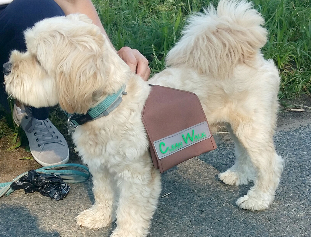 Hundetasche für einen kleinen Hund anpassen