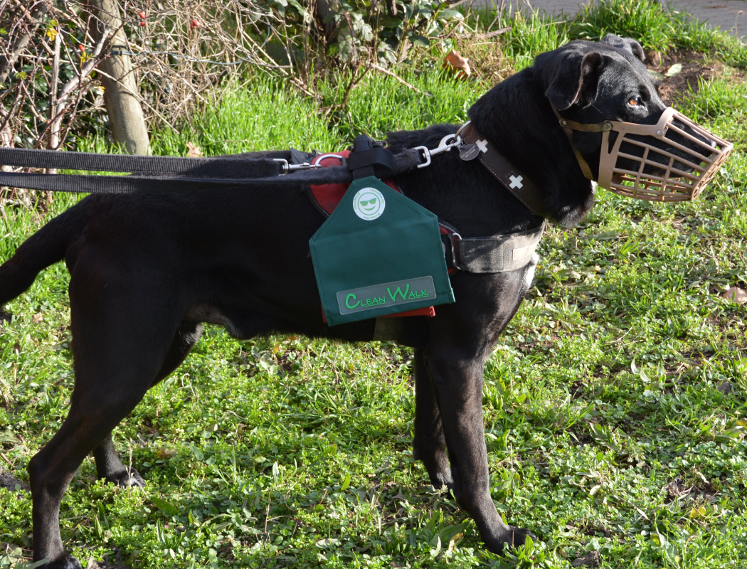Tierheimhund mit Cleanwalk Tasche