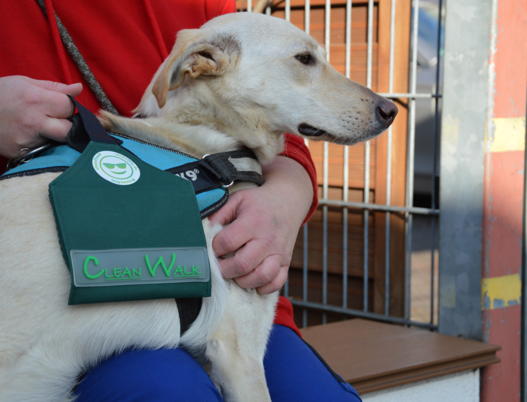 Hund im Tierheim mit Cleanwalk Tasche