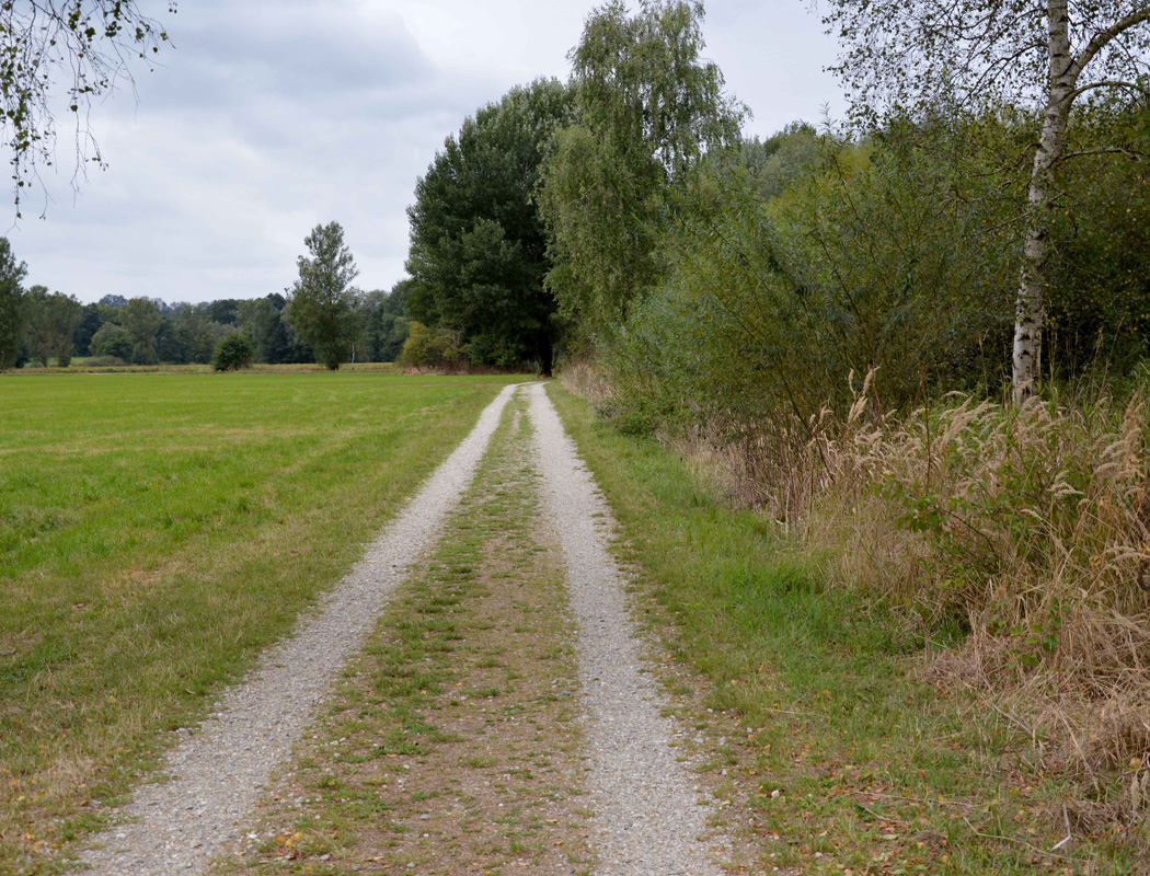 Sauberer Fußweg ohne Hundehaufen